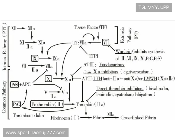 深入理解PT电子结构对提升游戏性能的关键作用与实际操作指南 深入理解PT电子结构对提升游戏性能的关键作用与实际操作指南